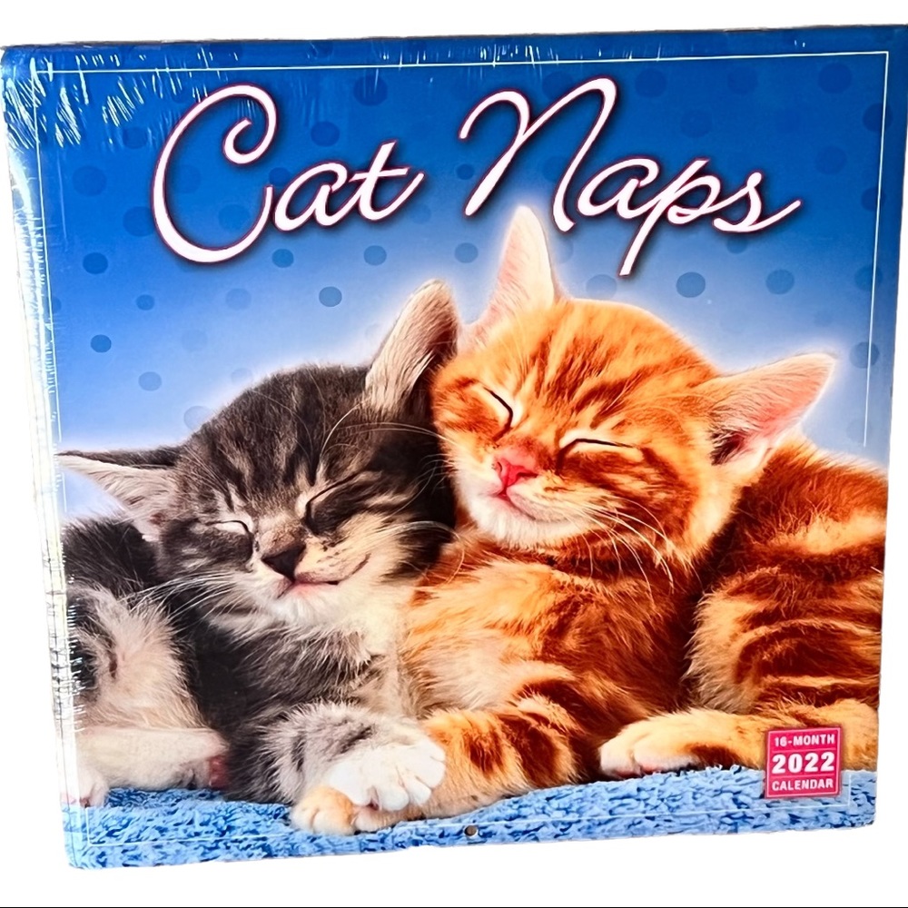 New Cat Naps Photo 2022 Wall Calendar 16 Month Cute Kittens